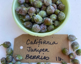 1 lb. California Juniper Berries - Fresh Harvest