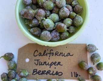 2 lbs. California Juniper Berries - Fresh Harvest