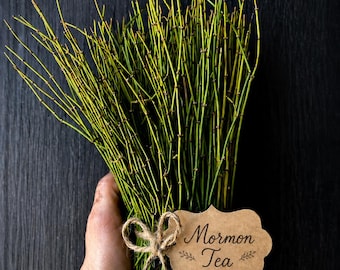 8 oz de thé mormon biologique fraîchement coupé : montagnes du désert de Mojave californien recherchées à l'état sauvage