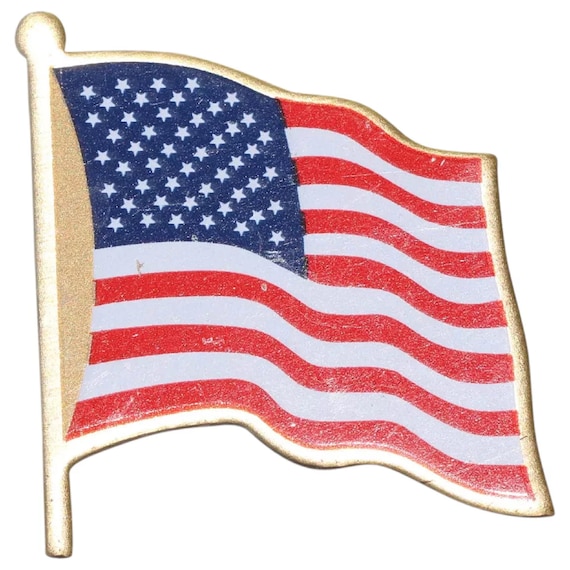 The U.S. Flag Pin - image 1