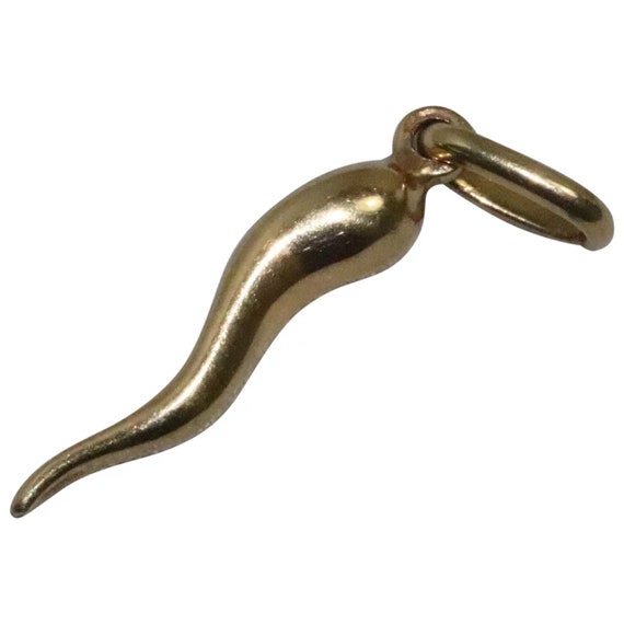 14KT Gold Italian Horn Pendant Etsy