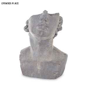 Può includere: Un busto in pietra grigia di una persona, che rappresenta la testa e le spalle. La scultura è usurata e ha una texture ruvida.