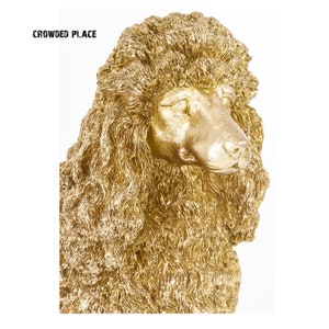Beautifully trimmed poodle
