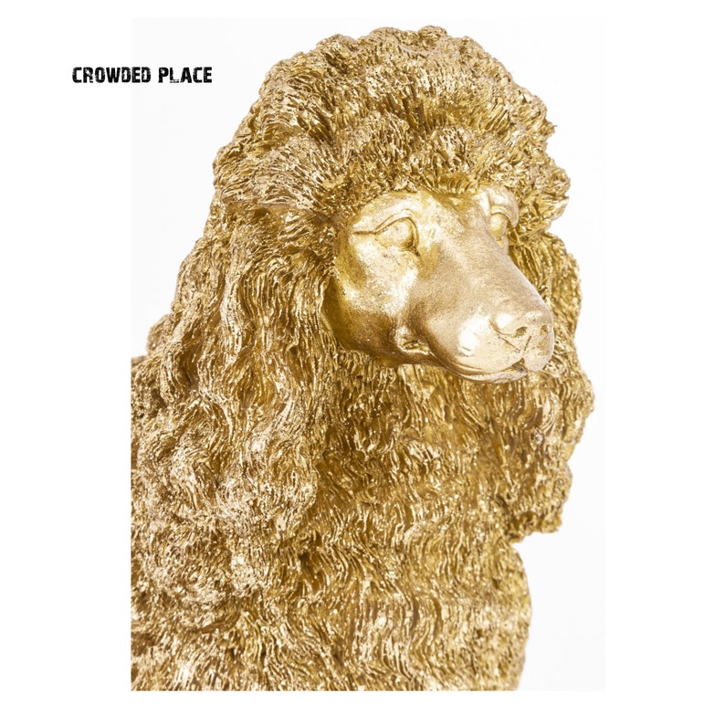 Beautifully trimmed poodle
