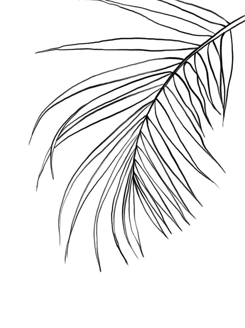 Botanical Line Art Print Palm Leaf Print Scandinavian Decor Etsy