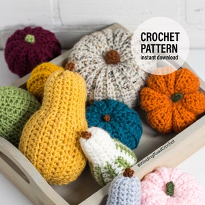 CROCHET PATTERN X Crochet Pumpkins and Gourds Pattern, English PDF Download, Crochet Fall Decoration Pattern