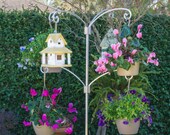3-in-1 Plant Tree Combo - Basic Kit