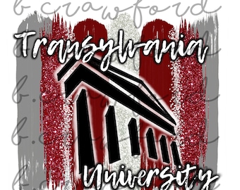 Transylvania University Paint Strokes Sublimation Design - 300 DPI