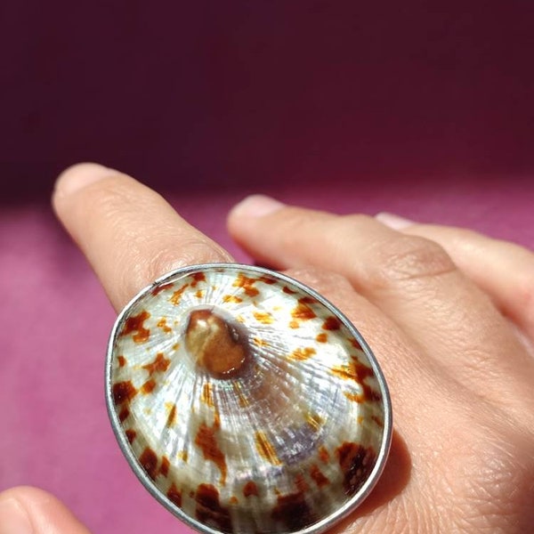 Vintage handmade seashell ring Limpet shell ring Summer jewelry Ring from the bottom of the sea  Sea tan treasures Beach Wedding ring Aqua
