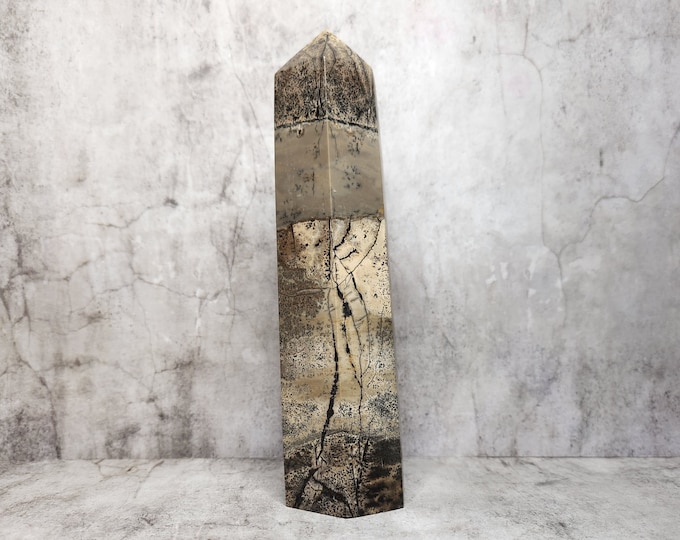 Picture Jasper: Unique patterns of landscapes, colors and abstract shapes, create a vibrant visual spectacle in this variety