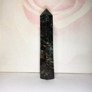 Labradorite : Renforce l'intuition, protège contre la négativité et favorise la croissance spirituelle. Un pouvoir mystique dans une coque brillante.