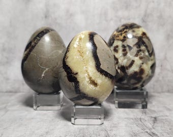 Septarie Dragon Egg: Promotes communication, calms emotions and strengthens patience with striking natural patterns and natural cracks.