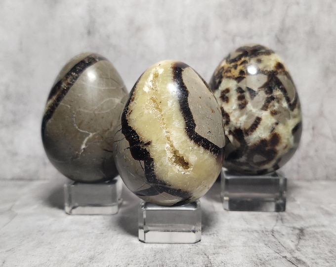 Septarie Dragon Egg: Promotes communication, calms emotions and strengthens patience with striking natural patterns and natural cracks.