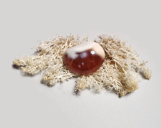 Carnelian palm stones: Strengthens vitality, courage and creativity. Helps transform negative energy into action and positive thoughts.