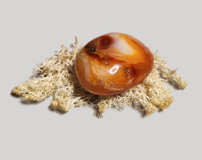 Carnelian Palm Stones: Promotes self-confidence and perseverance. Perfect for strengthening motivation and inner balance.