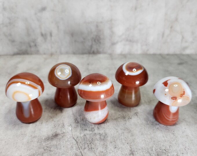 Carnelian Mushroom: Awakens courage, stimulates creativity, vitality. Brings warmth, passion, grounding. Unique shape for mysterious energy.