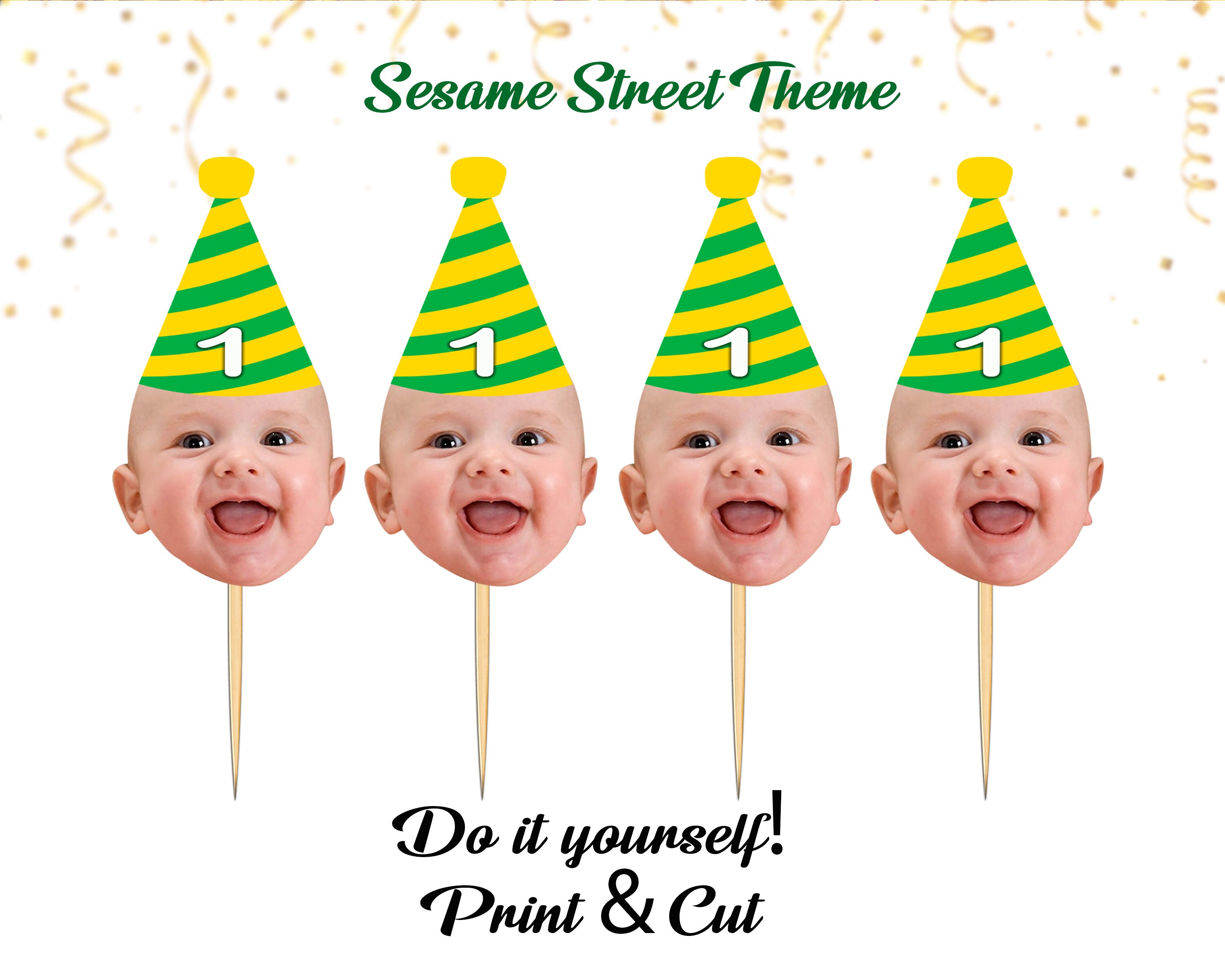 20+ Sesame Street First Birthday