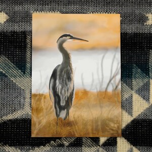 3.5"x5" Great Blue Heron Mini Print - wildlife art – prints for wall decor, canadian artist, birds, home studio prints, bird decor, home