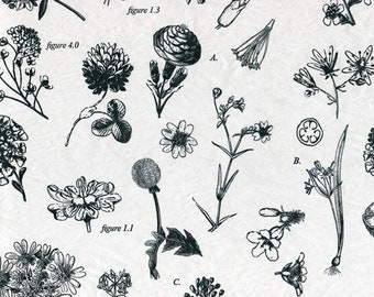 Vintage Style Floral Tissue Paper, Botanical Tissue Paper, Floral Tissue Paper, Spring Tissue Paper 20 x 30