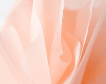 Blush Tissue Paper, Tissue Paper,  20 x 30