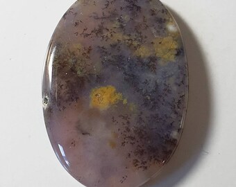 Cabochon Agate Dendrite