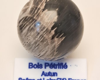Esfera de madera petrificada de Autun