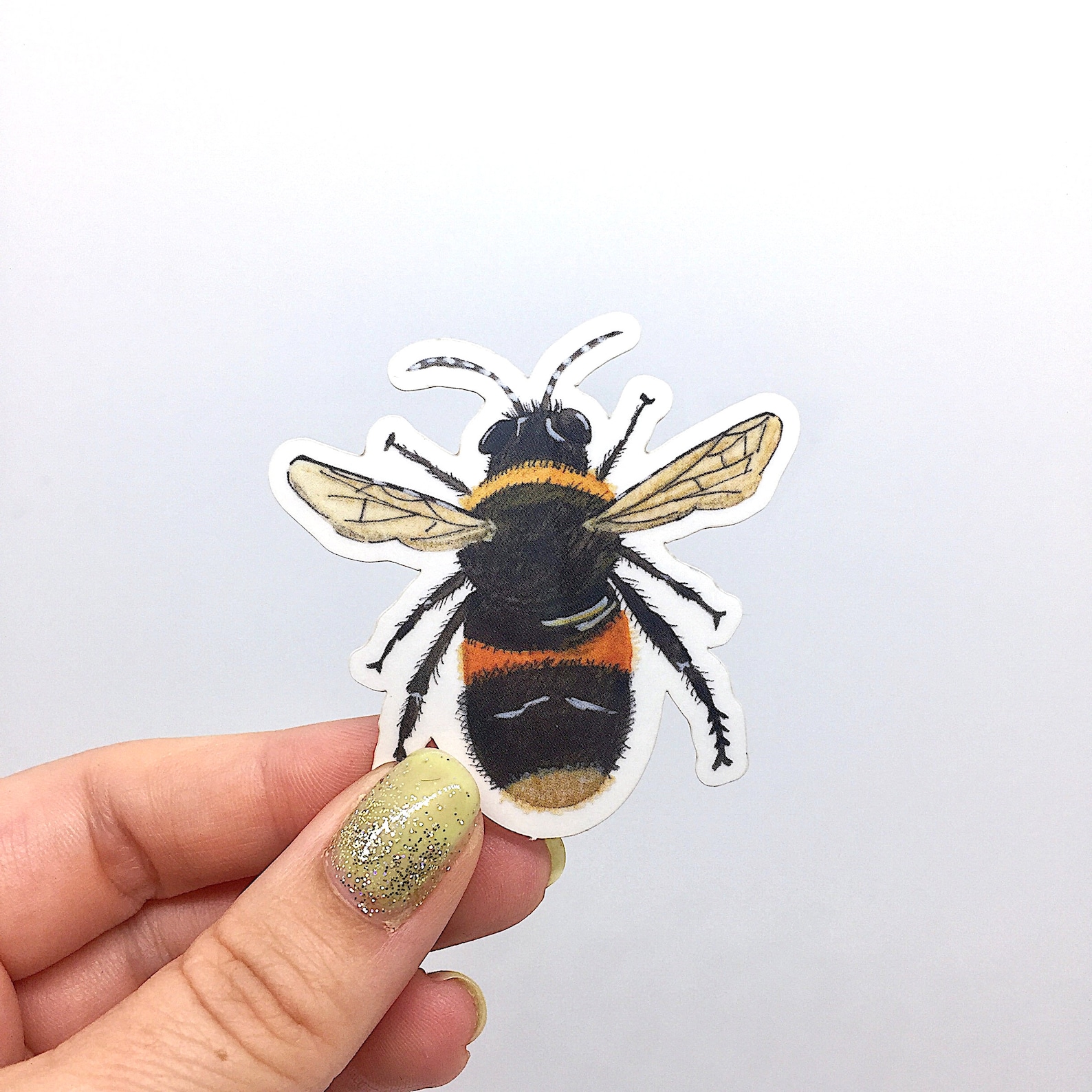Bumblebee sticker Cute bee sticker with clear backing Etsy