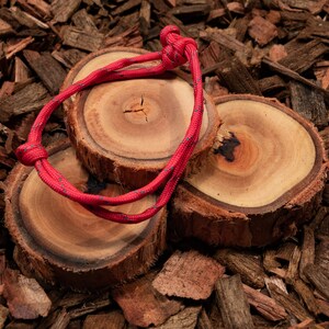 May include: Three wooden slices with a red rope tied around them. The rope has a blue and white pattern.