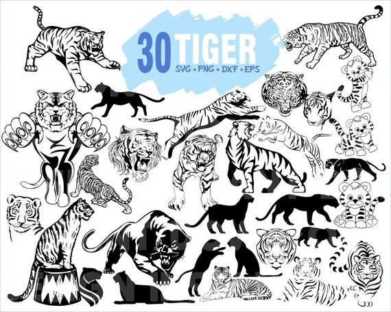 Download Tiger Svg Cat Svg Tiger Clipart Wild Svg Asia Svg Etsy PSD Mockup Templates
