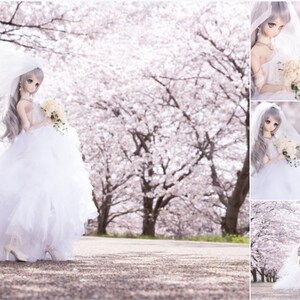 May include: A white bridal doll with long, silver hair and a white wedding dress, holding a bouquet of white flowers. The doll is standing in front of a background of pink cherry blossoms.