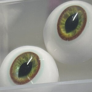May include: Two realistic-looking glass eyes with green irises and brown rings around the pupils. The eyes are white and have a glossy finish.
