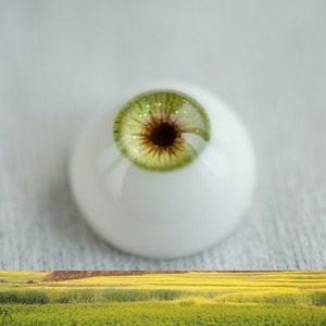May include: A close-up of a green and brown eye with glitter. The eye is on a white background.