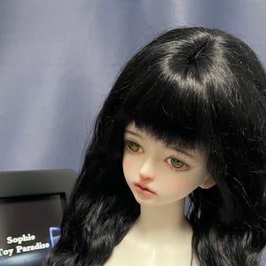 May include: A ball-jointed doll with pale skin, large amber-colored eyes, and long, wavy black hair with bangs. The doll has a neutral facial expression and is positioned next to a black sign displaying the text Sophie Toy Paradise in white.