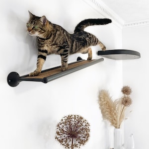 Decorative cat shelves sale