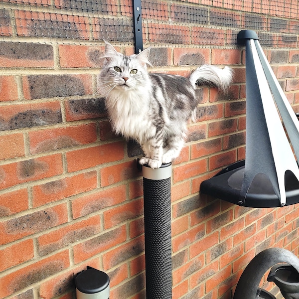 Poteau d'escalade pour chat. Poste à gratter élégant pour une maison moderne. Arbre à chat mural. Meubles durables pour chat. Haute qualité et peu encombrant.