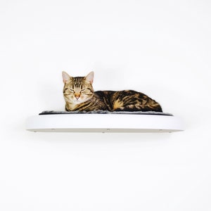 Cat Shelf