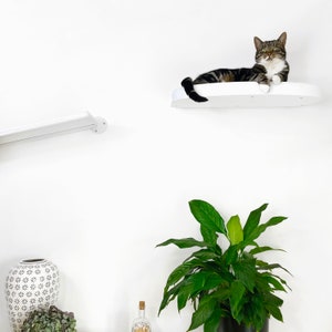 Cat Shelf Bed