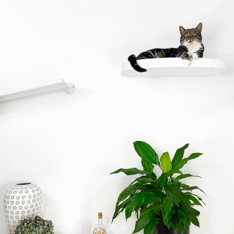 Cat Shelf Bed