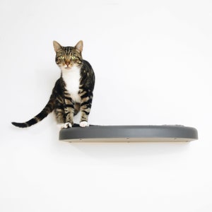 Wall-Mounted Cat Shelf