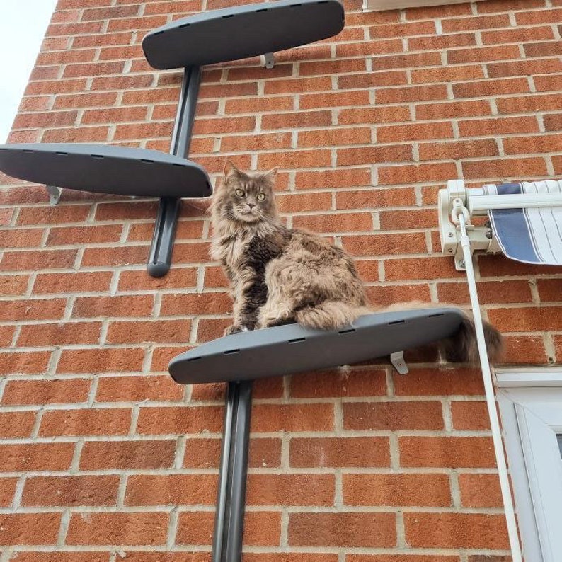Catipilla Pro Cat Climber / Tree 1.8M Wallmounted Cat Etsy
