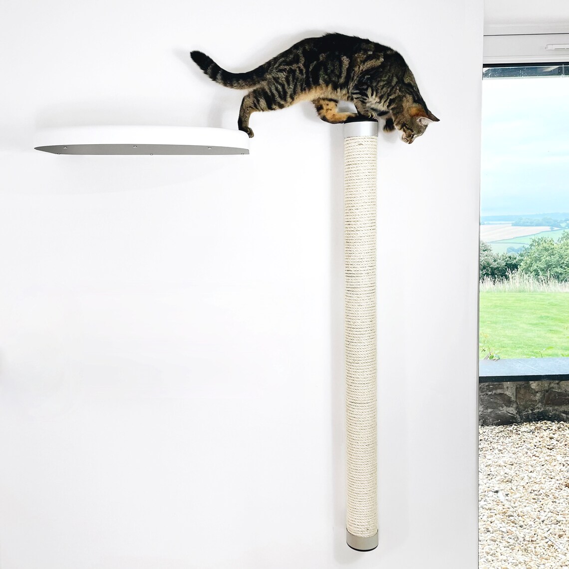 Catipilla Cat Climbing Pole WallMounted Replaceable & Etsy