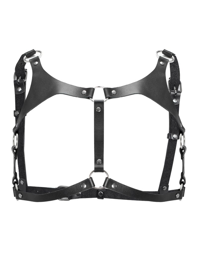 Leather Thong and Open Chest Bra image 7