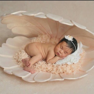 Baby shell for newborn photo shoots-Newborn photo props-giant shell newborn photography-baby newborn props-Prop newborn.
