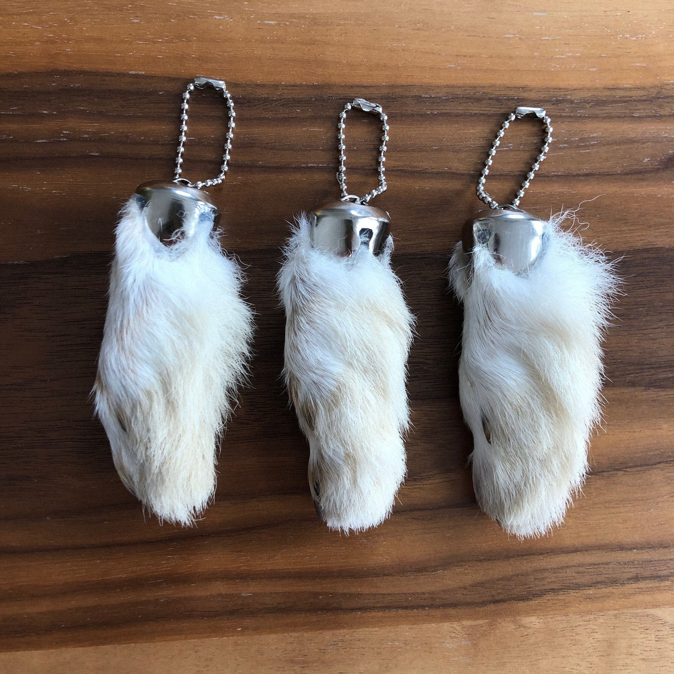 Wild Rabbit Foot Keychain With Ball Chain Taxidermy / Lucky Etsy