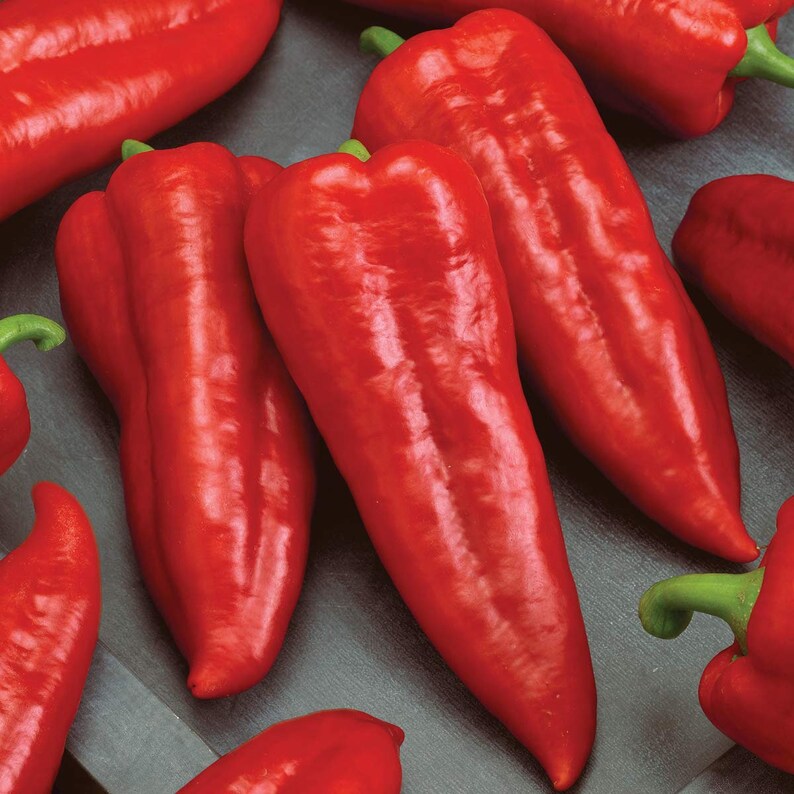 30 Organic RED MARCONI sweet red Italian Heirloom Pepper Seeds Etsy