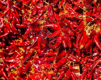 50 Hungarian Spice Pepper FESTIVAL SWEET Sweet Pepper Seeds For Paprika Powder
