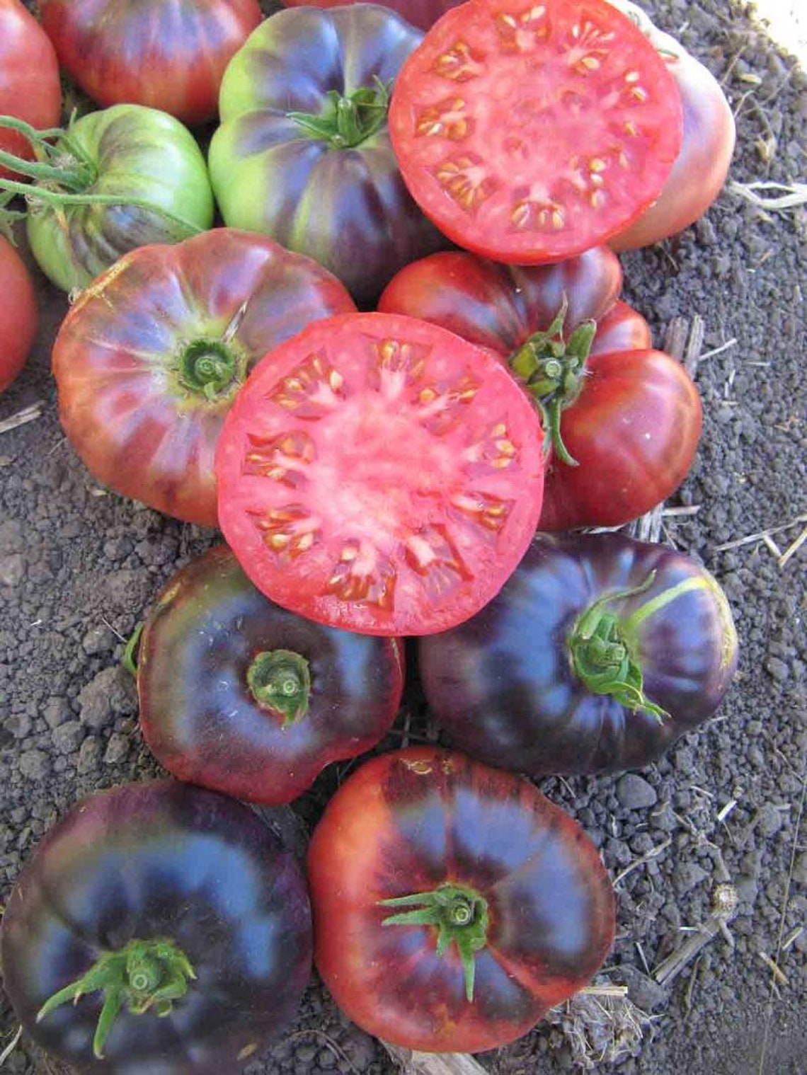 50 Organic Amethyst Jewel Tomato Seeds Old Heirloom Variety Etsy UK