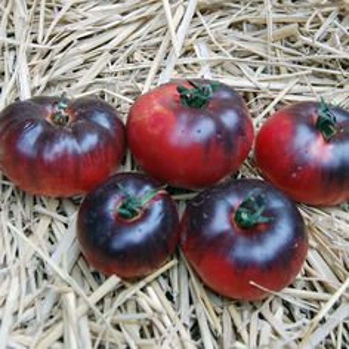 50 Organic Amethyst Jewel Tomato Seeds Old Heirloom Variety Etsy UK