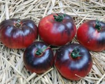 Submarine Blush tomate/tomato 20 graines/seeds/semillas 