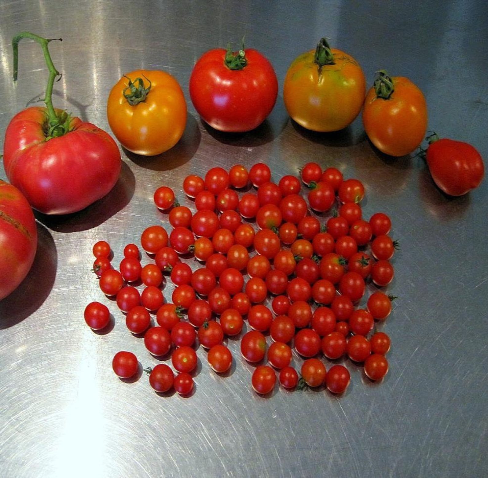 Семена томатов название. Томат черри мелкий. Томат Бамбини f1. Томат черри бусинки. Семена томатов черри высокие.